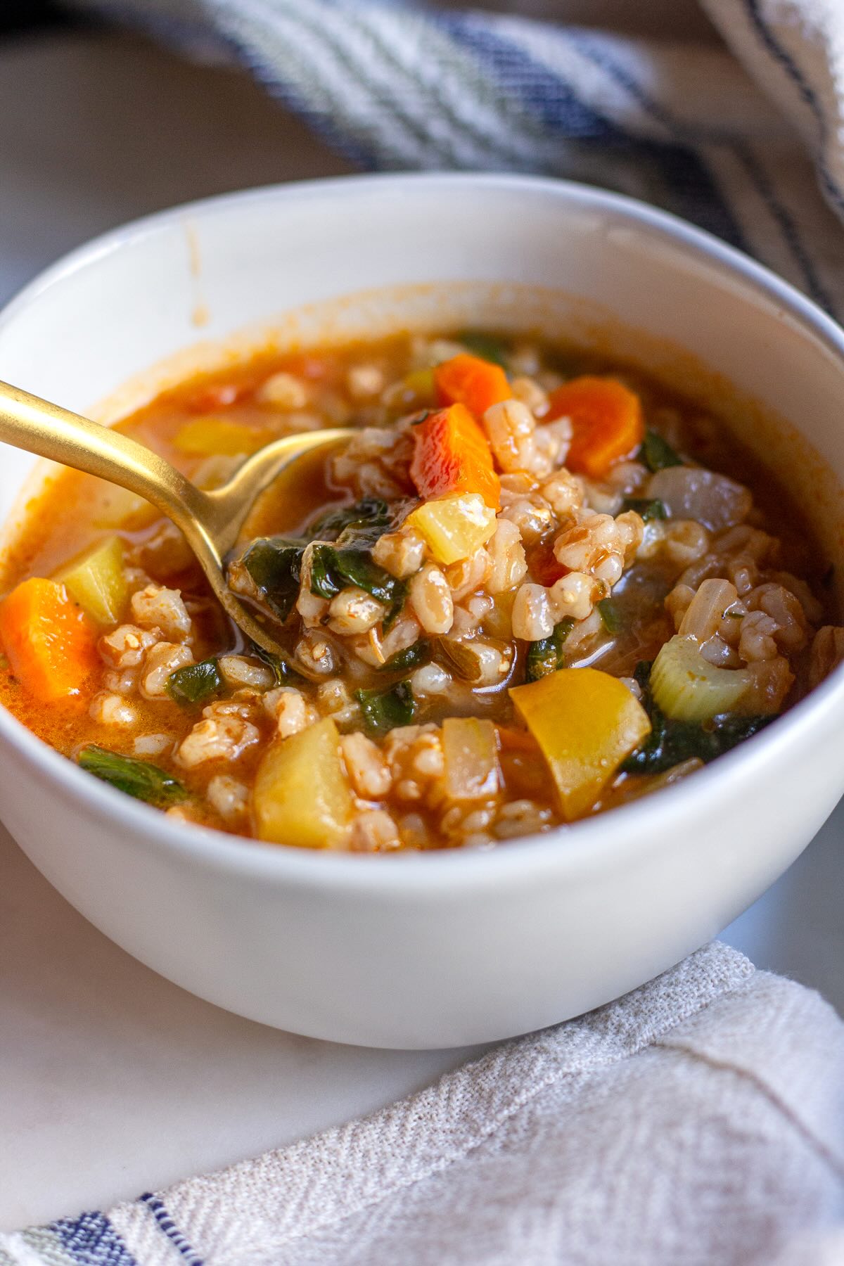 Veggie Barley Soup in a cup.