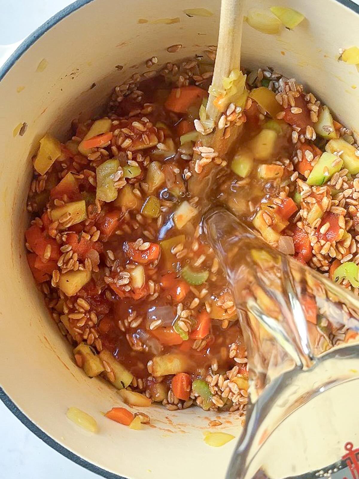 Vegetable soup with barley or farro, add water.