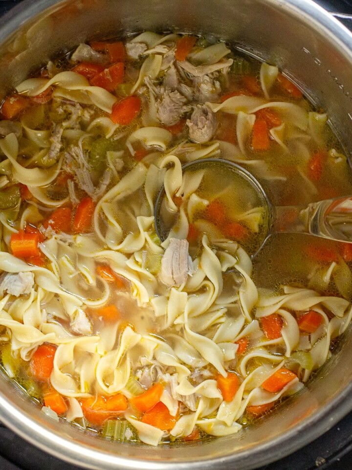 instant-pot-chicken-noodle-soup-recipe-2.jpg