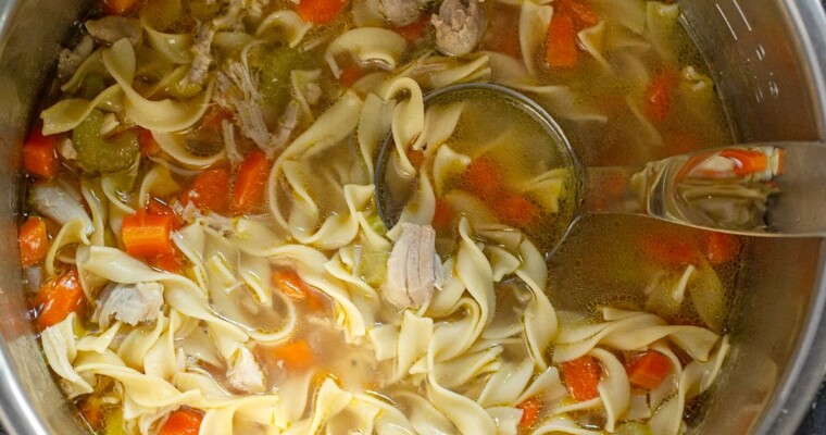 The BEST Instant Pot Chicken Noodle Soup