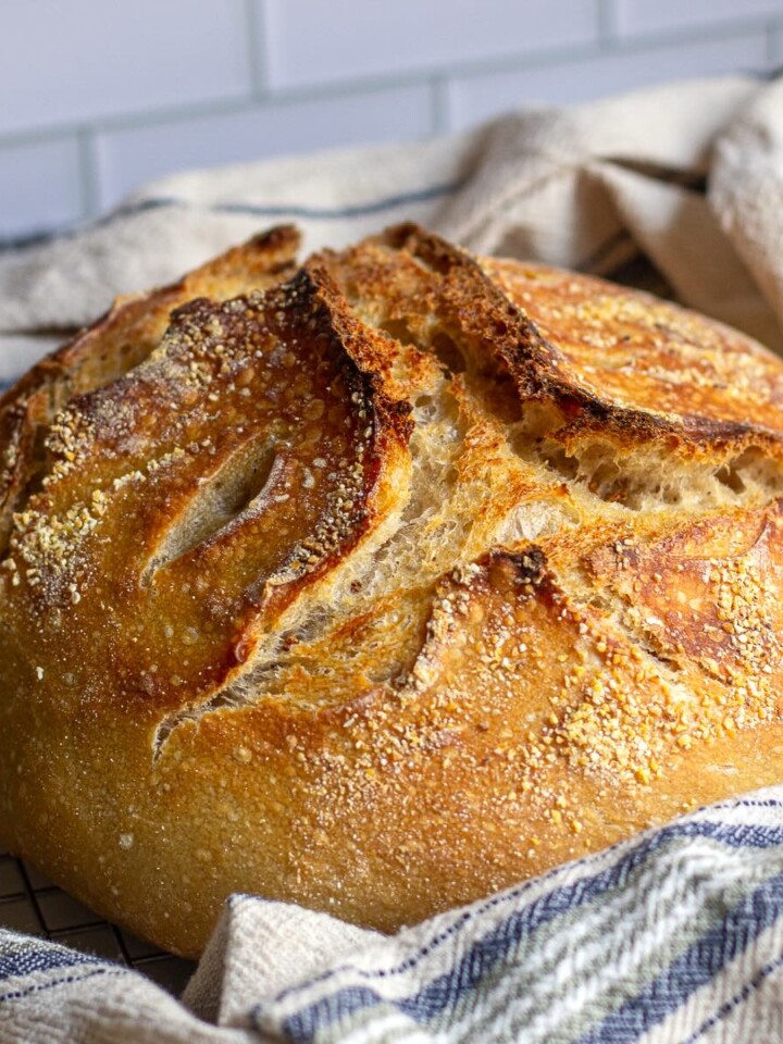 Sourdough-bread-recipe-for-beginners