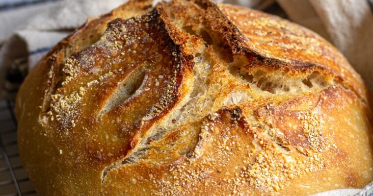 Sourdough Bread for Beginners Recipe