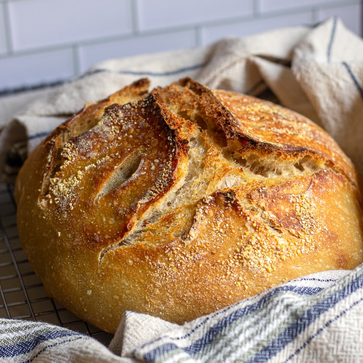Sourdough-bread-recipe-for-beginners