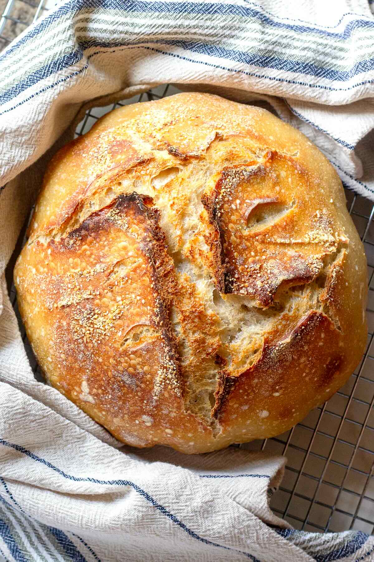 Sourdough Bread Recipe for Beginners
