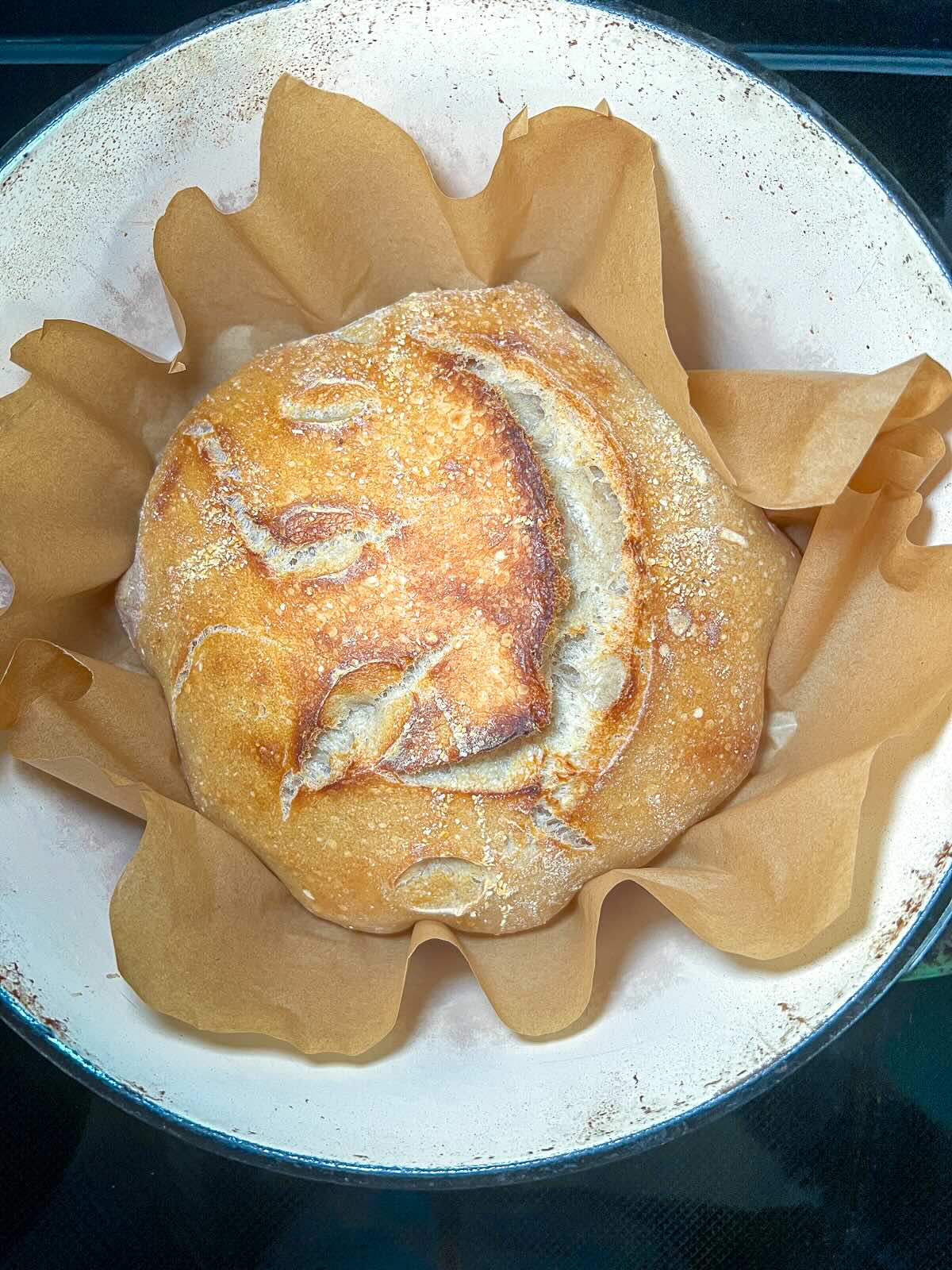 Sourdough bread for beginners, baked loaf.